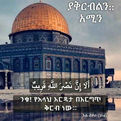 feriha kemal Profile Picture