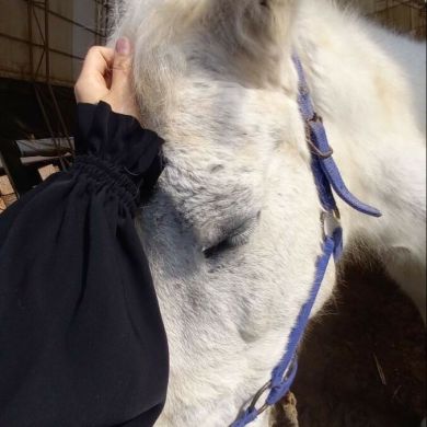 Amr Nassima Profile Picture