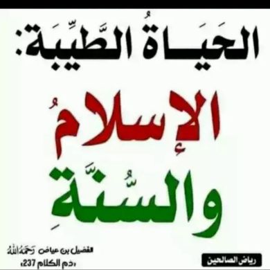 Seid Hamid Profile Picture