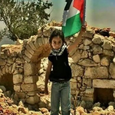 Abdi Mohammed Profile Picture