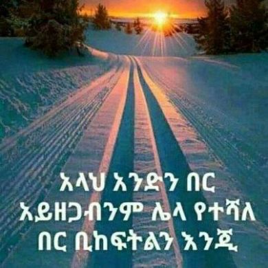 Ali Wolle Profile Picture