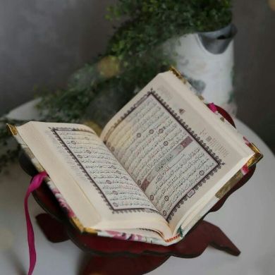 amina sani Profile Picture