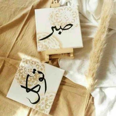 jemss Profile Picture