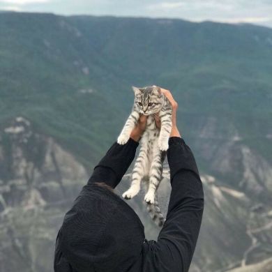 عمر الفاروق Profile Picture