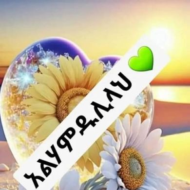 Rahmet Meles Profile Picture