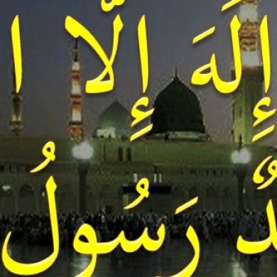 TAJU1 Profile Picture