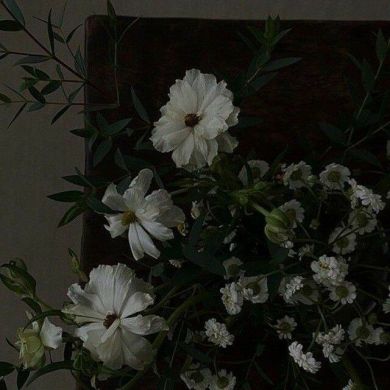 سين حاء Profile Picture