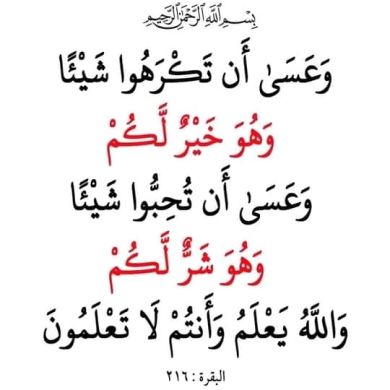 salim Redi Profile Picture