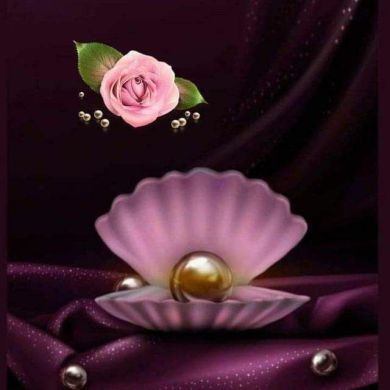 ሂጃብ ነው ውበቴ