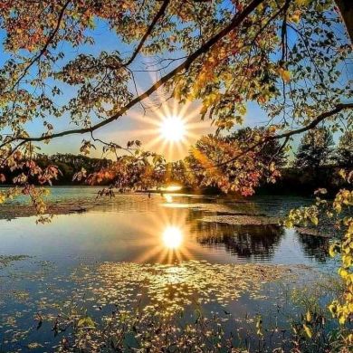 abdul yass Profile Picture