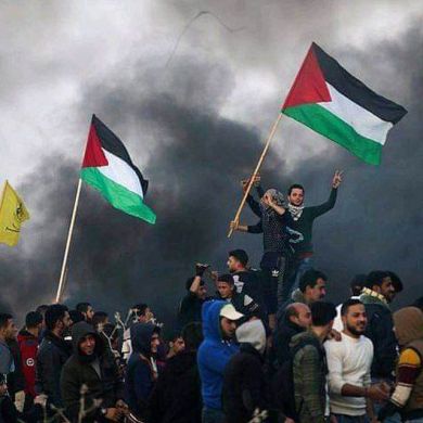 medina 1 dino 7 Profile Picture