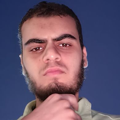 عمار بن سعد السيد