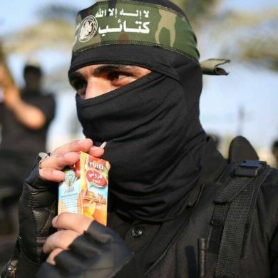 Ziyad Walid Profile Picture