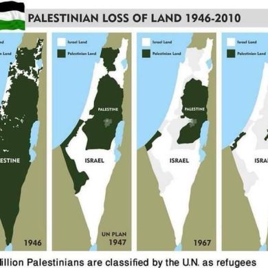 abu yahya Al beydawi Profile Picture