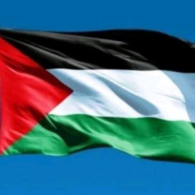 Habib Delil Profile Picture