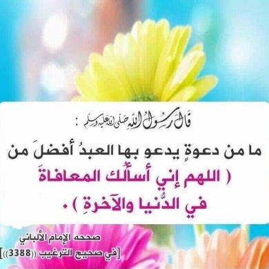 أبو معاذ الحمصي