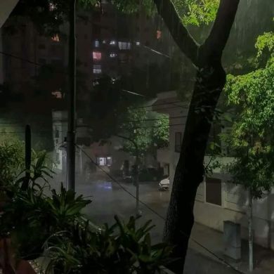 Yara Khaled Profile Picture