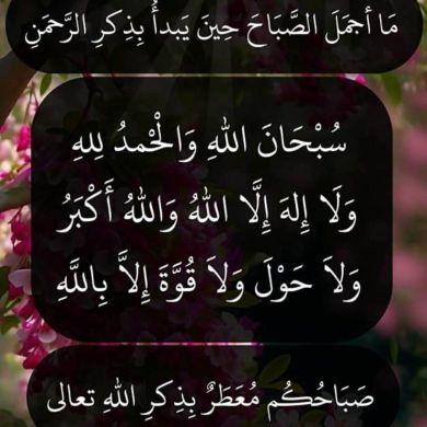 munir shifa Profile Picture