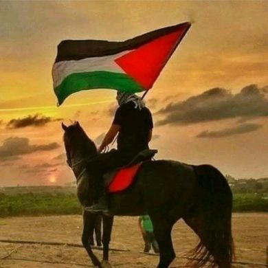 faris mohammed faris