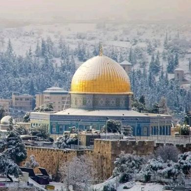 abu salih Profile Picture