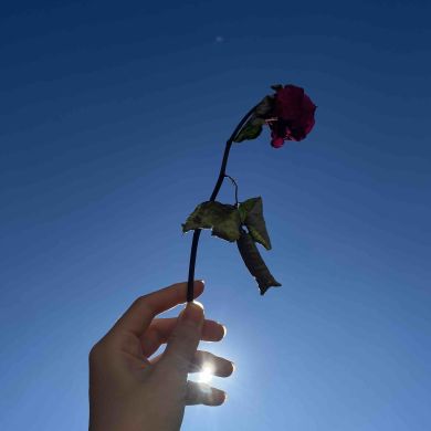 voin.yu Profile Picture