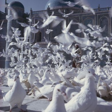 عبد المهيمن Profile Picture