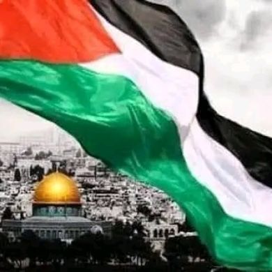 tarik aythamou Profile Picture