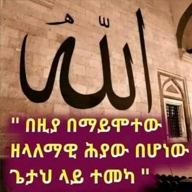 Abdullah Nesru Profile Picture