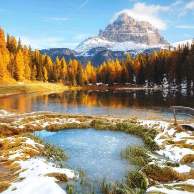 محمد العربي Profile Picture