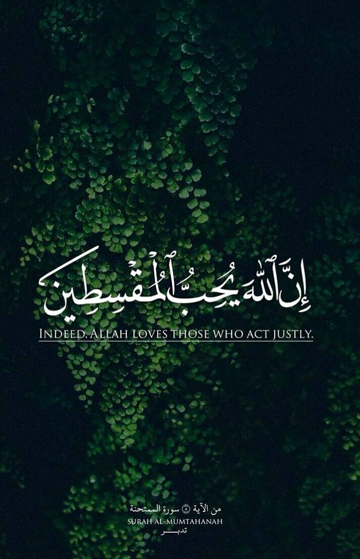 Запись от 27.10.2023 14:01 | Ummu Tesnim