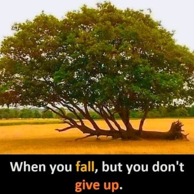 Fuad Musema Profile Picture