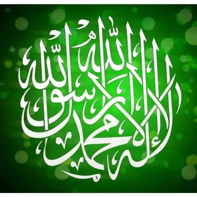 magda sultan Profile Picture