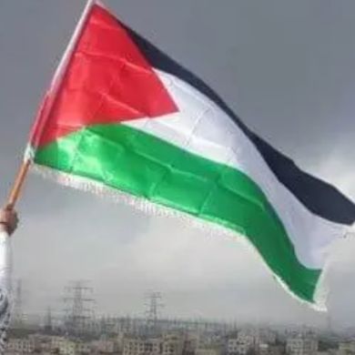 hebab_din Profile Picture