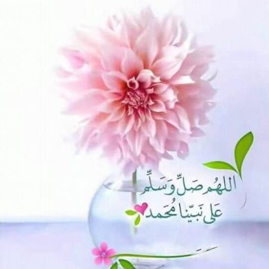 suleyman ahmed Profile Picture