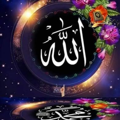 redwan nasir Profile Picture