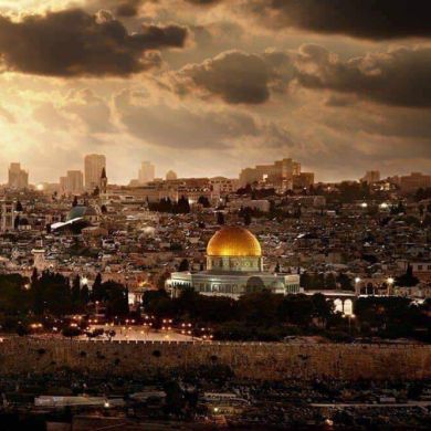 billiy wael Profile Picture