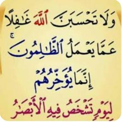 حسن عومر profile picture