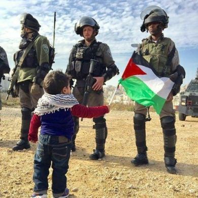 habibafarag Profile Picture