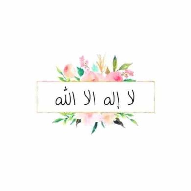 Asmaa Hassan profile picture