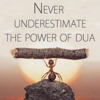 Muktar  Mohammed  Profile Picture