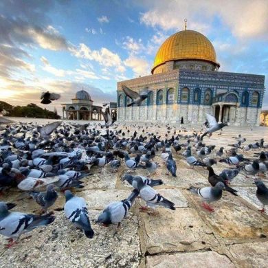 عبدالله مهاجر Абдуллох Юлдашев Profile Picture