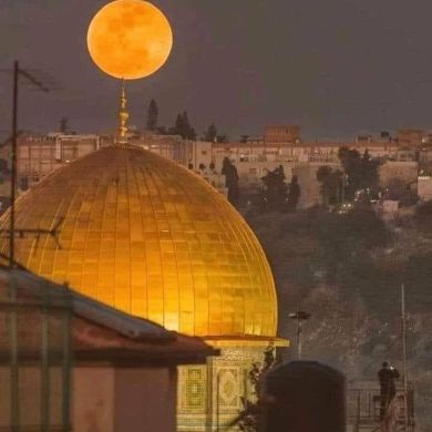 Khadizha  Gadjieva Profile Picture