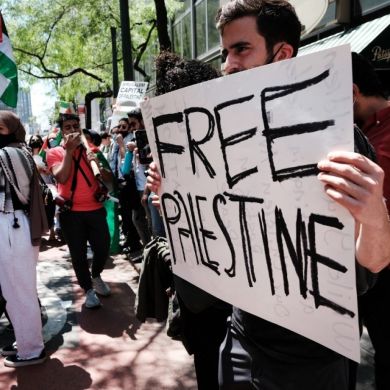 Zrb Ashv Profile Picture