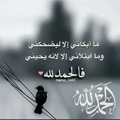 muhammednur shemsedi