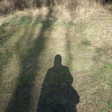 Жанна П Profile Picture