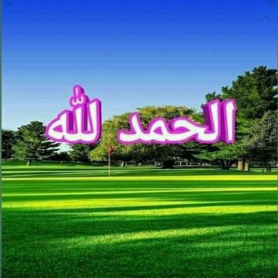 muhadin adem Profile Picture