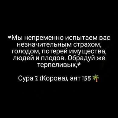 Madina Mujikhoeva Profile Picture