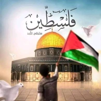 muhammednur muhydin profile picture