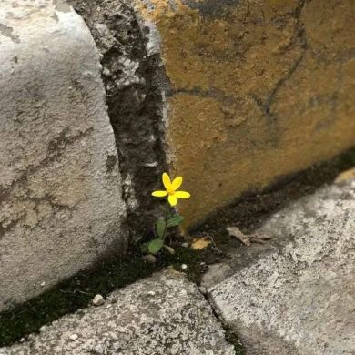 نـون سين Profile Picture