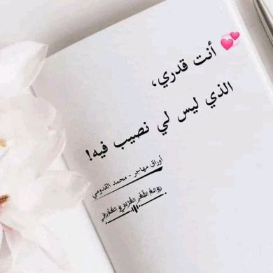 Alferid Taju Profile Picture